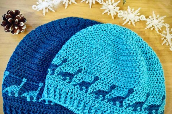 Dino Stitch Hat