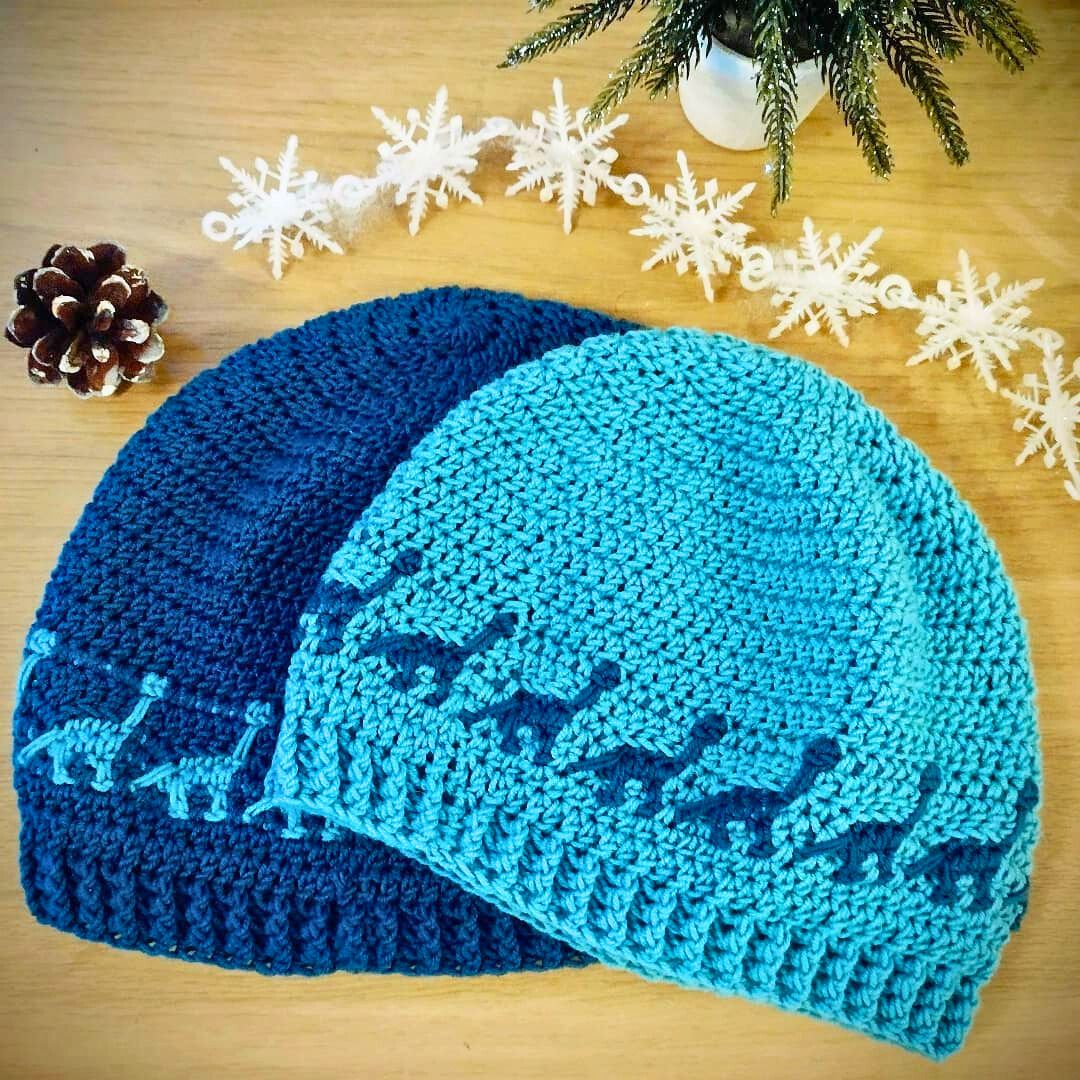 Dino Stitch Hat